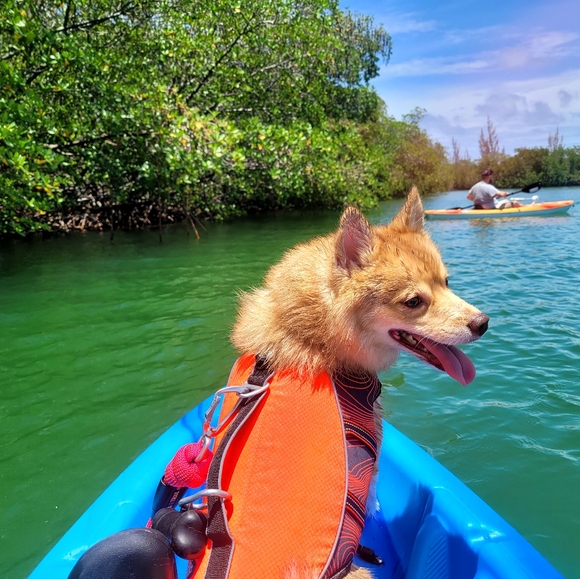 Meet your Posher, LYDOUBLENE - Picture 4 of 8